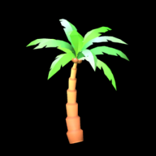 Palm Tree